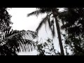 I uploaded a @YouTube video http://t.co/9nN0YFwo Bats of Sydney 16