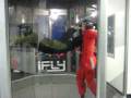 videos de flysfbay in door skydiving
