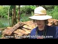 What is Sago?  Find out in Sulawesi, Indonesia
