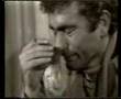 Y�lmaz g�ney �irkin kral