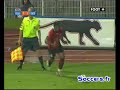 MICHEL BASTOS MICHEL BASTOS