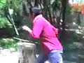El tigre y el dragón El tigre y el dragón