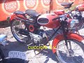 Concentração de ciclomotores em Estoi
