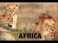 Air K. Travel Commercial