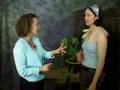 Breast-Self-Exam