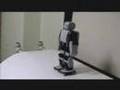 plen robot