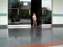 kid skate