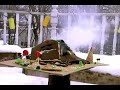 The Great gingerbread fire of \