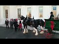 The First Lady Receives the 2012 White House Christmas Tree