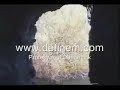 www.definem.com - Roma Antik Kanali