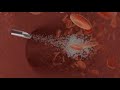 movie from my max tutorial folder