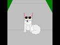 videos de Wild Whiskers Season 2 Episode 1
