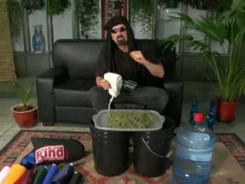 hash - A CLIP FROM JEORGE CERVENTAS ULTIMATE GROW GUIDE VIDEO.........ALL COPYRIGHTED MATERIAL IS USED UNDER THE GUIDELINES OF