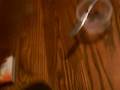 how to make ballistics gel part 3
