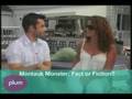 Montauk Monster: Fact or Fiction?