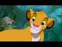 The Lion King on Broadway
