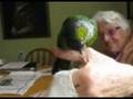 Dory the conure sewing