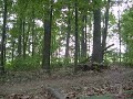 MTB Mish Shaeffer Farms MTB Mish Shaeffer Farms