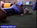 Paintball school of overacting Paintball school of overacting