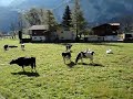 Sindhu & Lokesha: Switzerland trip - 04
