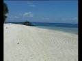 PULAU SIPADAN, SIPADAN ISLAND, SABAH, MALAYSIA, BORNEO, TOP 5 DIVING SPOT IN THE WORLD