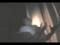 videos de Jody Freaks Out