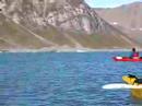 Arctic Seal Peek-a-boo - part.1