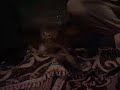 KUKO y KEKO en adopcion urgente