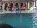 Dolphin-Show-Part-II