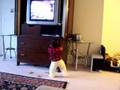 Dancing with Uttam-Suchitra