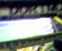 you´ll never walk alone you´ll never walk alone