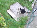 denisa-tunde-ne-djep-tundewwwp2palbaniacomshqip.html