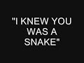 i knew you was a snake