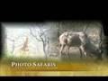 videos de Dalerwa Ventures.avi