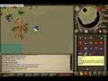 fire rebirth and dizzyd9 kq trippin