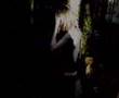 Suicide Silence- No Pity For A Coward MEDIA MUSIC VIDEO