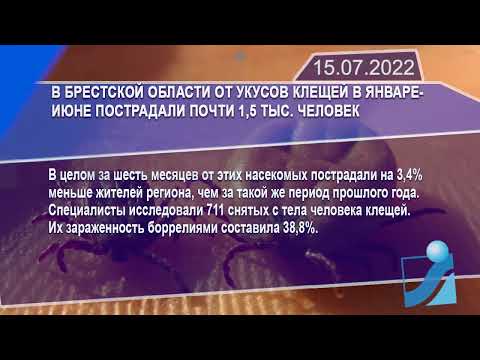Новостная лента Телеканала Интекс 15.07.22.
