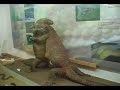 Gita Paleontologia Verona-Bolca 1 parte Gita Paleontologia Verona-Bolca 1 parte
