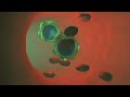Cinema 4D - Testanimation Spritze
