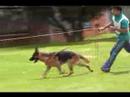 M 18-24 Sepp de Santa M�nica Merizalde 02 08