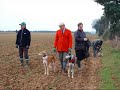 Saluki coursing in the UK before the ban - ??? ????? ???