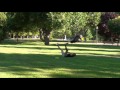 Madrid Discdoggin Madrid Discdoggin