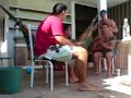 Atirei o pau no gato... Alves cagou no meu quintal! kkkkkkkk Atirei o pau no gato... Alves cagou no meu quintal! kkkkkkkk