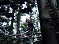 im wald vorsicht schlimme ausdrücke kommen vor im wald vorsicht schlimme ausdrücke kommen vor
