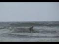 Surf