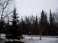 April 12 Snowstorm - Delta Junction