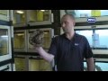 RSPCA Live Video - Handling an exotic pet