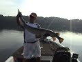 61 Inch Trophy Longnose Gar
