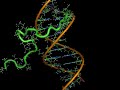 dabblings-in-pymol.html