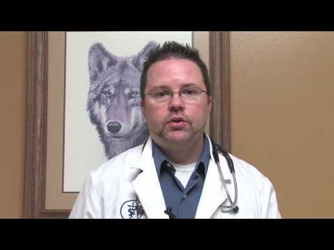 how to treat ehrlichiosis in dogs